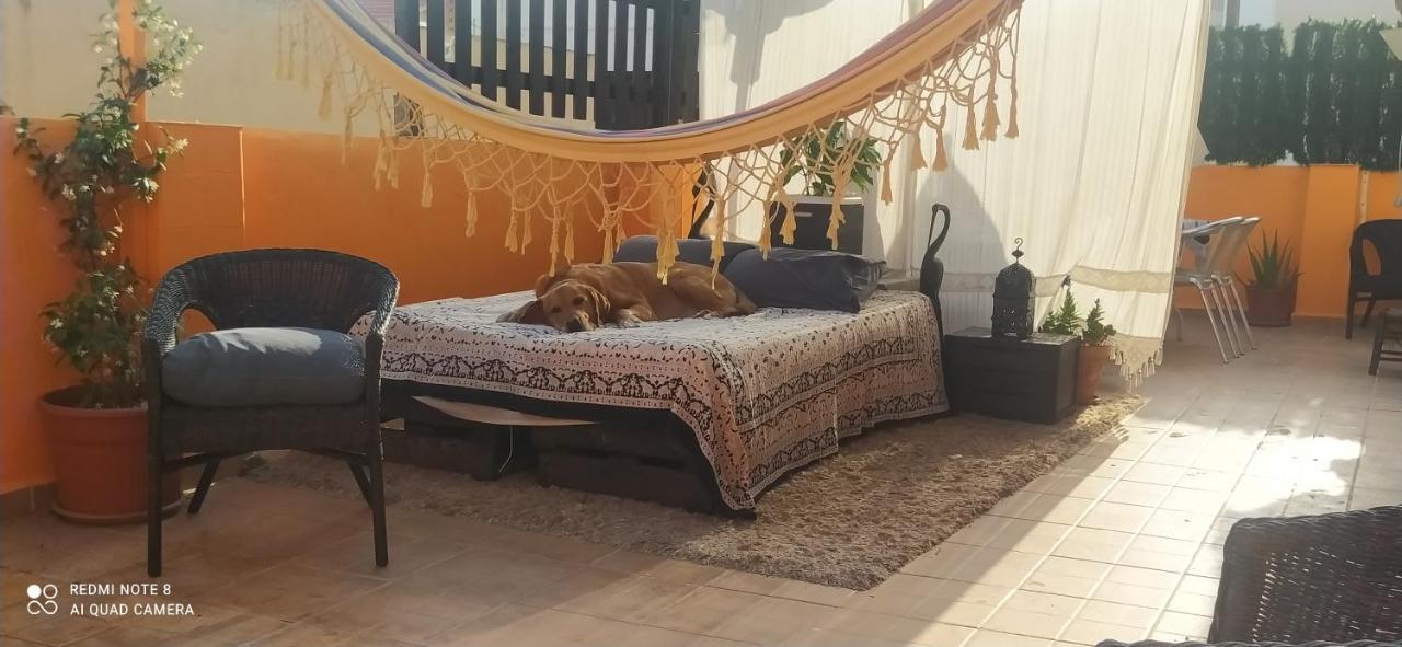 La Casita De Celia * Alacant